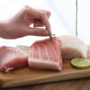 회친구참치 이미지