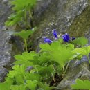 (주)열린세상 이미지