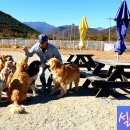 겔럭시하우스 이미지
