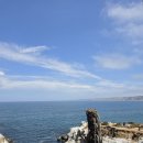 귀빈항공여행사자 | 미국 서부 여행 4일차 : 라호야 코브(La Jolla Cove) / USS 미드웨이 항공모함 박물관