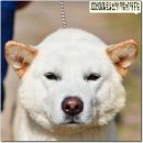까치농장 이미지
