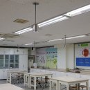 장성중학교 이미지