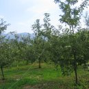 오토공인중개사사무소 이미지