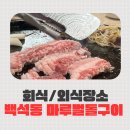 큰돌생삼겹 대방점 | 천안회식 어디서? 백석동 고기집 마루벌돌구이 돈한판 솔직후기