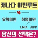 와이앤지(YNG) | 캐나다유학이민 vs 캐나다취업이민 실제후기 등 (스압주의)