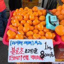 세화오일시장 | [제주여행_5] 고성오일시장 세화민속오일시장