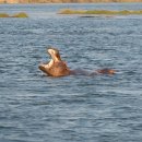 해보는집 이미지