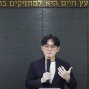 토라 이미지