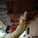 보절면 사촌마을 이미지