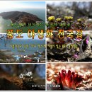 풍도·난지도