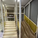 호텔R | 제주 중문 키즈카페 추천 - 챔피언 R 롯데호텔 서귀포 중문점 후기