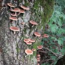 귀중농장 이미지