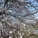 삼복한정식 | 삼산동 돼지국밥 맛집 삼복국밥 울산 24시간 밥집