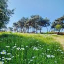 이현공원 이미지