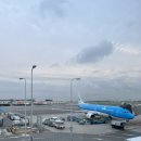 인생여행지 포르투갈 포르투 여행기 1 - 저가항공추천(Transavia),포르투맛집,쇼핑리스트