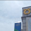 네츄럴100허니카페 이미지