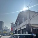 태평골손칼국수 | 대전 태평동 태평골손칼국수 다녀온 내돈내산 후기