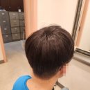 고도일 병원 | 신논현가발 머리빠짐 스트레스 싹 풀어버린 시스템엘르 강남본점 이용 후기입니다.