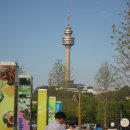 대구관광정보센터 이미지