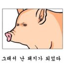 두부먹고곱창먹고 이미지