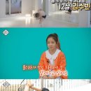 지스포츠 이미지