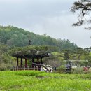 [영주 여행] 전통혼례 당일치기 힐링여행 소수서원 선비촌