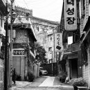 덕성장 이미지