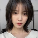 지컷헤어