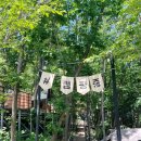 블루문캠핑장 | 경기도 가평 블루문 캠핑장 사이트 스테이1 솔직후기