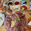 서울 방어 맛집 바다회사랑 2호점 웨이팅 오픈런 후기 꿀팁