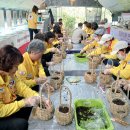 덕풍농장 이미지