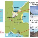 디다이브