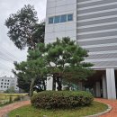 파인힐 골프 연습장 | 파인힐골프클럽, 쾌적한 연습환경과 친절한 서비스로 추천합니다!