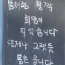 윤미슈퍼 | 그럼에도 불구하고