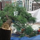 아카시아병원 이미지