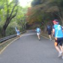 죽도봉길 이미지