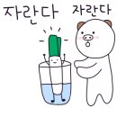 산갈래닭갈비 이미지