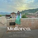 동부카인테리어 | 마요르카 신혼여행 숙소｜캡베르멜 호텔 주니어 스위트룸·조식·수영장·후기·예약팁 총정리