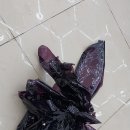 광산구-101 이미지