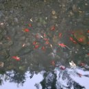 서문밖경로당 이미지