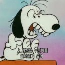 하이닉스(주) 이미지