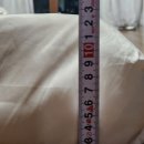 일광세탁소 | 센스맘 매트리스/ 시그니처 더 9 사용 후기/ 매일이 꿀잠 숙면, 허리 지지, 체압분산 매트리스 추천