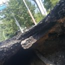 대동백화점(시민생활체육관방면) 이미지