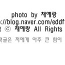 경기도 수원시 권선구 세지로4번길 7-15 이미지