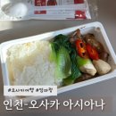 [오사카] 아시아나 OZ114 인천-간사이 이코노미 탑승 후기(연착과 VOD 없는 비행기의 콜라보)