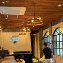 🏊‍♀️ 강남 유아수영·어린이수영강습 추천! 신사동 와이키키 링크앤스윔에서 수영부터 피겨까지 한 번에 🏒❄️