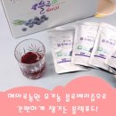 해마루농원 | 해마루농원 유기농 블루베리즙으로 간편하게 챙기는 블랙푸드!