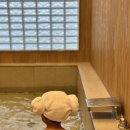 북면758 | 울진 덕구온천 테라스 스파룸 아이랑 다녀온 내돈내산 후기