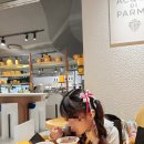 파르마 | [서울 잠실]아쿠아디파르마 옐로우 카페 방문 후기 | 향수 차량방향제 시향하기 좋은 카페