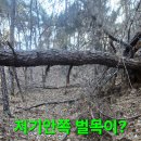 어부지리 - 김해시 번화1로114번길 7 | 어부지리
